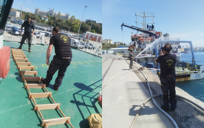 7tepemarine